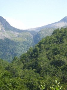 pyreneeen bergtoppers